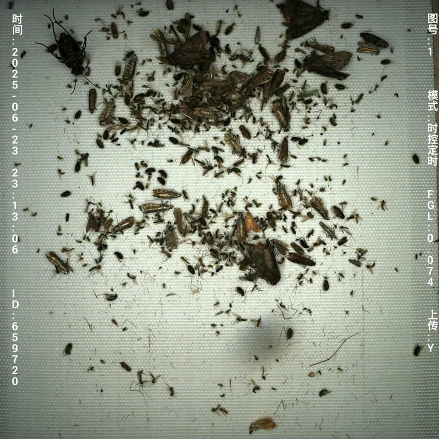 1. 高清成像_副本.jpg