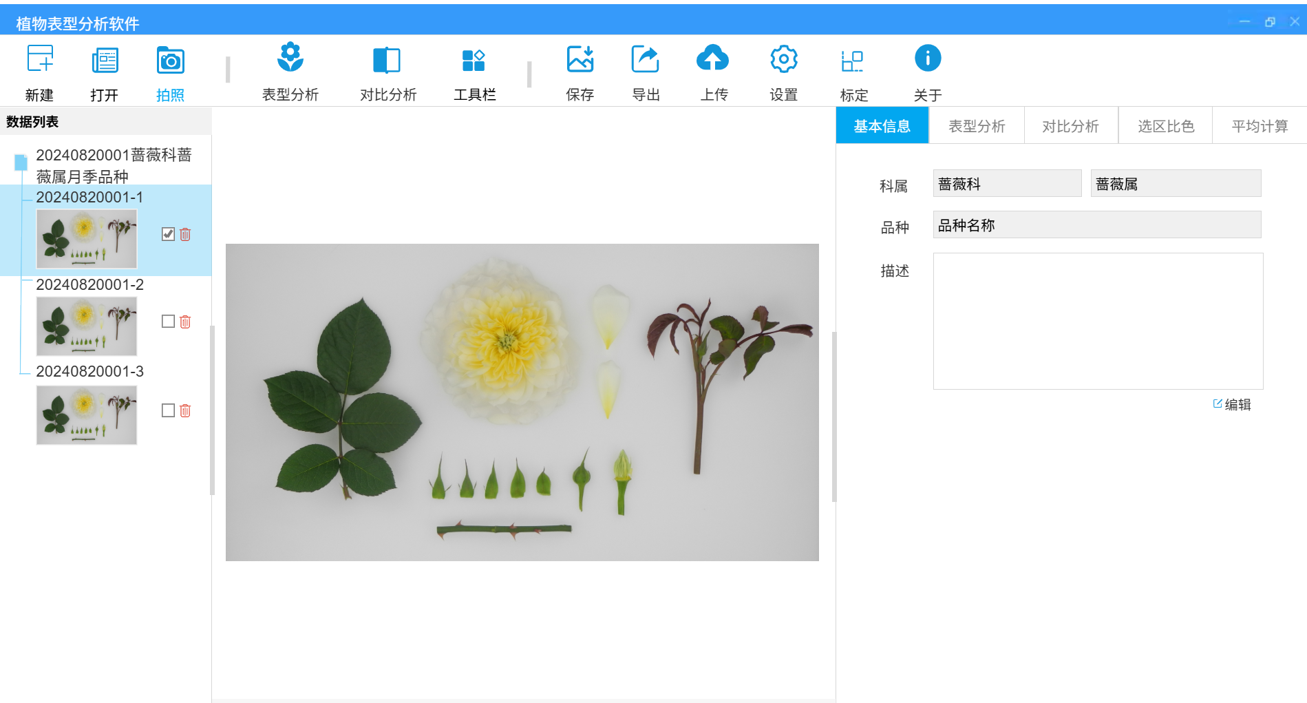 植物表型分析软件.png