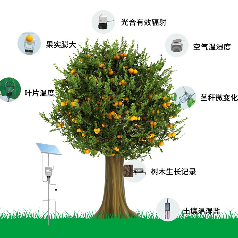植物生理生态监测系统
